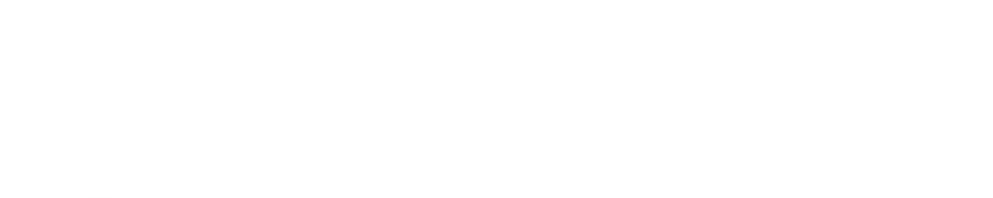 SEO Naumburg Logo